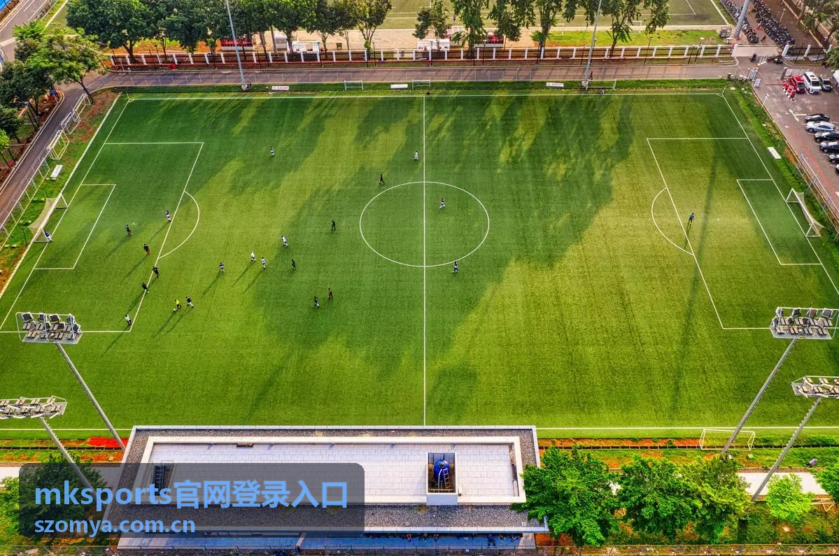 mksports官网登录入口平台动态了解