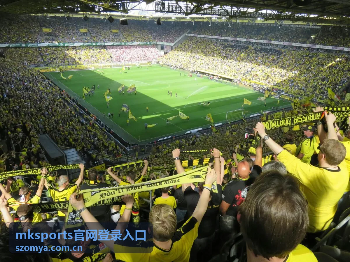 mksports官网登录入口账户安全设置