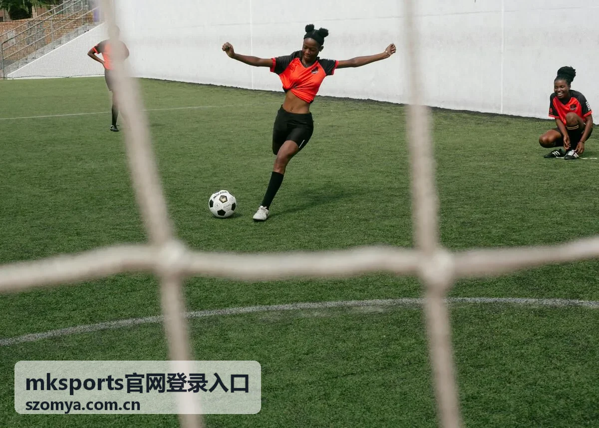 mksports官网登录入口移动端访问场景